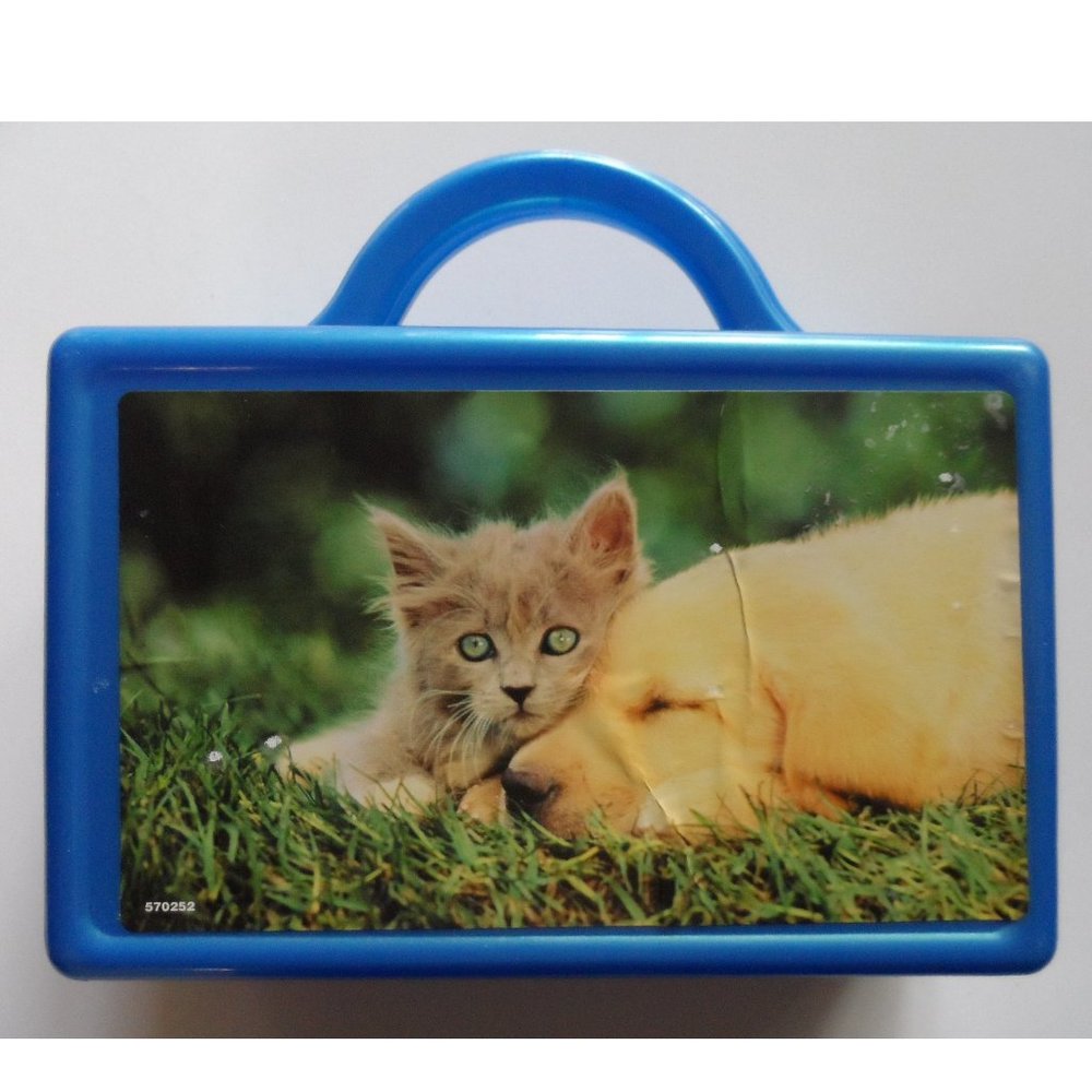 Plastic Lunch Box